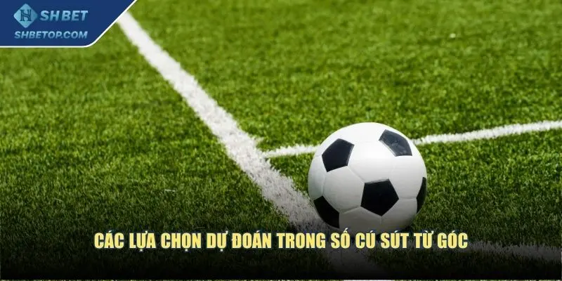 Các lựa chọn dự đoán trong số cú sút từ góc
