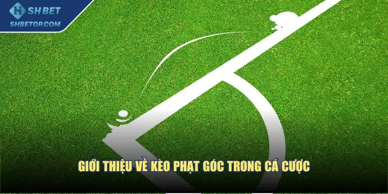 Giới thiệu về kèo phạt góc trong cá cược