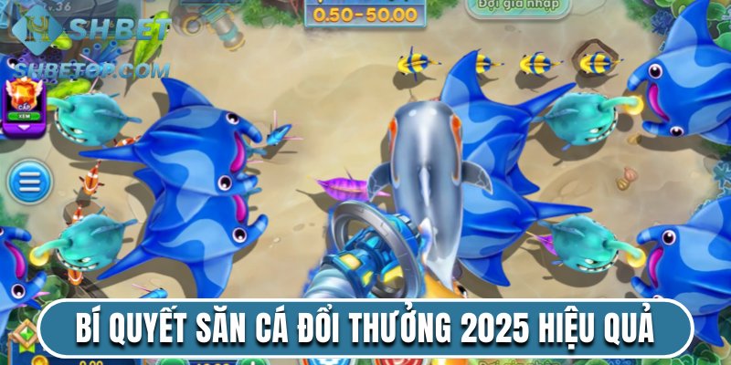 Bí quyết săn cá đổi thưởng 2025 hiệu quả