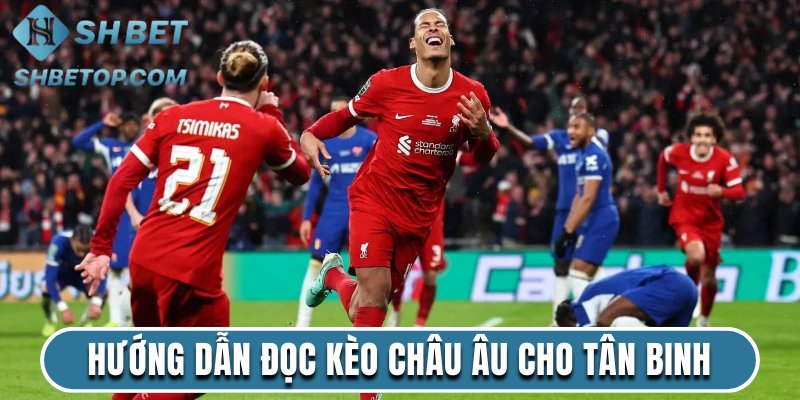 Hướng dẫn đọc kèo châu Âu cho tân binh