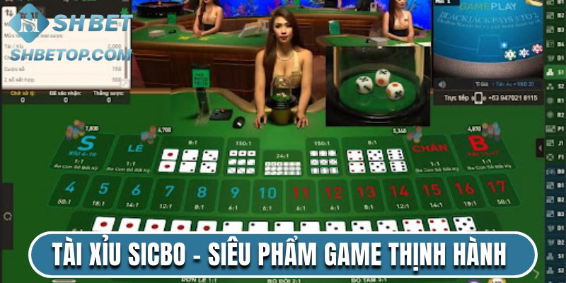 Tài Xỉu Sicbo - Siêu Phẩm Game Thịnh Hành Nhất Shbet