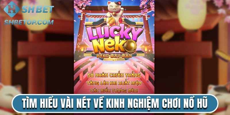 Tìm hiểu vài nét về kinh nghiệm chơi nổ hũ