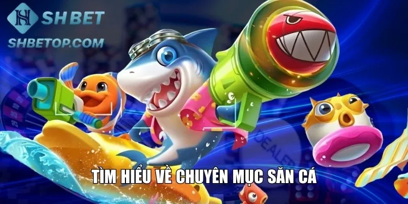 Tìm hiểu về chuyên mục săn cá